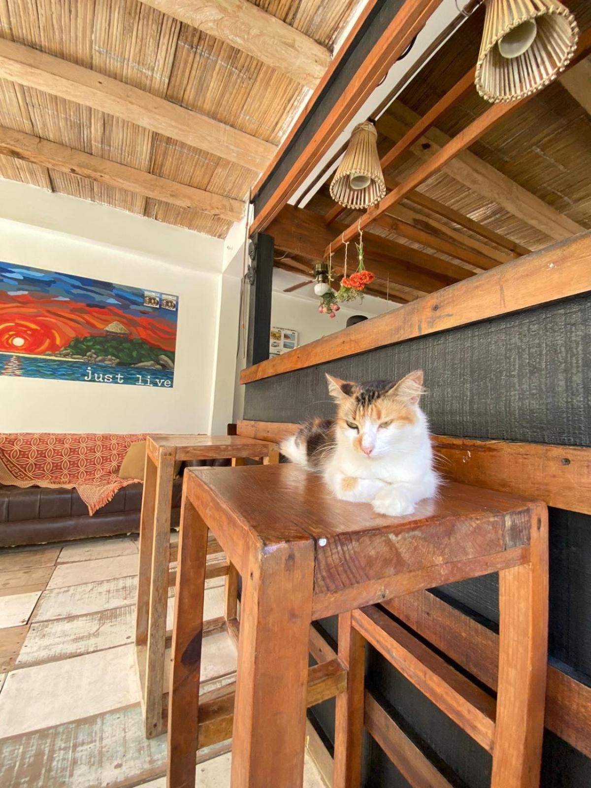 Casa Kai Hotel Palomino Kültér fotó